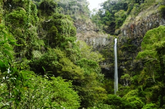 The Amber Mountain National Park: A Natural Treasure in Madagascar